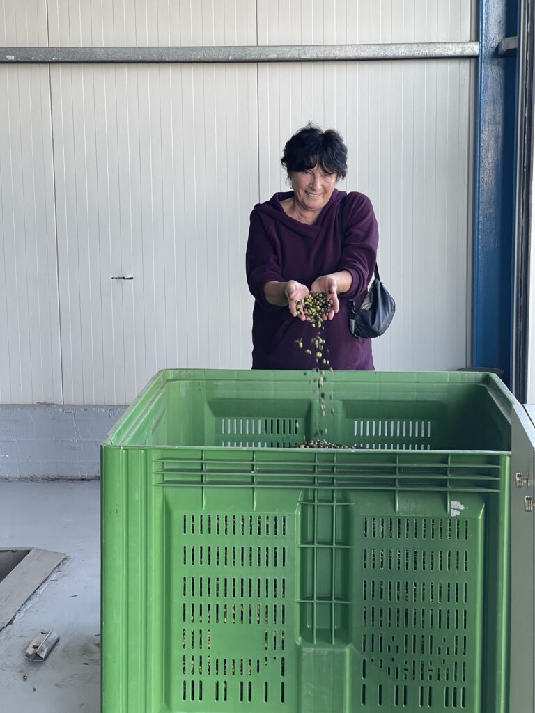 Odile - Huile d’olive Grecque de qualité supérieure